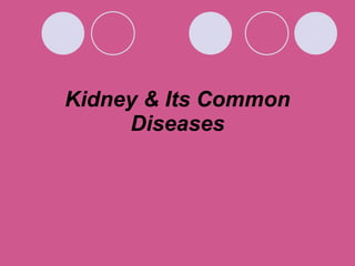 Kidney & Its Common Diseases 
