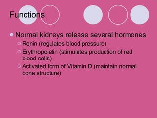 Normal kidneys release several hormones Renin (regulates blood pressure) Erythropoietin (stimulates production of red blood cells) Activated form of Vitamin D (maintain normal bone structure) Functions 