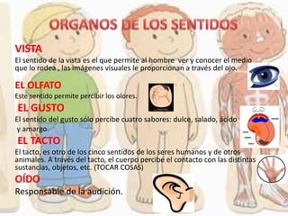 VISTA
El sentido de la vista es el que permite al hombre ver y conocer el medio
que lo rodea , las imágenes visuales le proporcionan a través del ojo.
EL OLFATO
Este sentido permite percibir los olores.
EL GUSTO
El sentido del gusto sólo percibe cuatro sabores: dulce, salado, ácido
y amargo.
EL TACTO
El tacto, es otro de los cinco sentidos de los seres humanos y de otros
animales. A través del tacto, el cuerpo percibe el contacto con las distintas
sustancias, objetos, etc. (TOCAR COSAS)
OÍDO
Responsable de la audición.
 