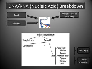DNA/RNA (Nucleic Acid) Breakdown
Food

Malignancy(Cell
turnover)

Alcohol

Uric Acid

Energy
production

 