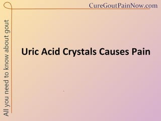 Uric Acid Crystals Causes Pain 