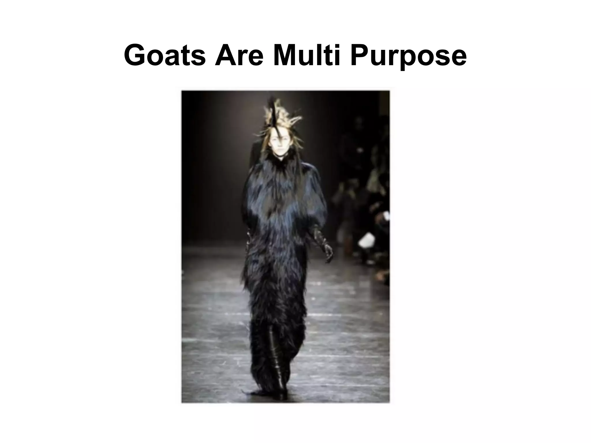 Goats Are Multi Purpose
 