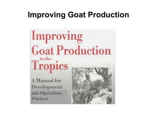 Improving Goat Production
 