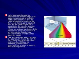 La luz solar está formada por radiaciones de diferente longitud de onda que constituyen el espectro visible, también llamado arco iris. Estas radiaciones son absorbidas, de manera distinta, por el agua del mar. Así, las radiaciones rojas y anaranjadas del espectro son más rápidamente absorbidas que las verdes, las azules y las violetas. Esto provoca que en aguas profundas el extremo rojo del espectro esté ausente mientras el verde-azul se hace más visible. Este fenómeno está relacionado con la presencia, en el agua del mar, de compuestos nitrogenados como el amoniaco, los nitratos y las proteínas, que reducen la penetración de la luz en el agua, es decir su transparencia. 