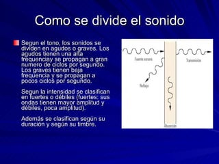 Como se divide el sonido Segun el tono, los sonidos se dividen en agudos o graves. Los agudos tienen una alta frequenciay se propagan a gran numero de ciclos por segundo. Los graves tienen baja frequencia y se propagan a pocos ciclos por segundo. Segun la intensidad se clasifican en fuertes o débiles (fuertes: sus ondas tienen mayor amplitud y débiles, poca amplitud). Además se clasifican según su duración y según su timbre. 