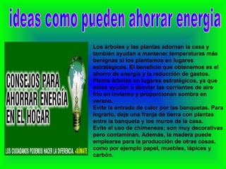 ideas como pueden ahorrar energia Los árboles y las plantas adornan la casa y también ayudan a mantener temperaturas más benignas si los plantamos en lugares estratégicos. El beneficio que obtenemos es el ahorro de energía y la reducción de gastos. Plante árboles en lugares estratégicos, ya que estos ayudan a desviar las corrientes de aire frío en invierno y proporcionan sombra en verano. Evite la entrada de calor por las banquetas. Para lograrlo, deje una franja de tierra con plantas entre la banqueta y los muros de la casa. Evite el uso de chimeneas; son muy decorativas pero contaminan. Además, la madera puede emplearse para la producción de otras cosas, como por ejemplo papel, muebles, lápices y carbón. 