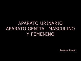 APARATO URINARIO 
APARATO GENITAL 
MASCULINO Y FEMENINO 
Rosario Román 
 