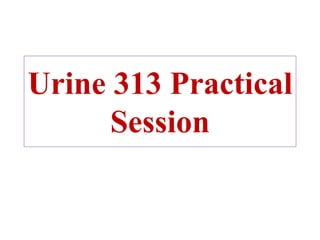 Urine 313 Practical
Session
 