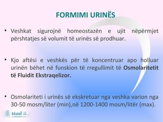 Urina dhe mekanizmi kunër-rrymë | PPT