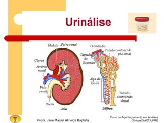 Curso de Aperfeiçoamento em Análises
Clínicas/DACT/UFMGProfa. Jane Maciel Almeida Baptista
Urinálise
 