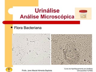 Curso de Aperfeiçoamento em Análises
Clínicas/DACT/UFMGProfa. Jane Maciel Almeida Baptista
 Flora Bacteriana
Urinálise
Análise Microscópica
 