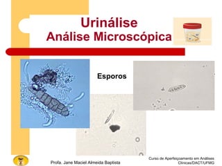 Curso de Aperfeiçoamento em Análises
Clínicas/DACT/UFMGProfa. Jane Maciel Almeida Baptista
Urinálise
Análise Microscópica
Esporos
 