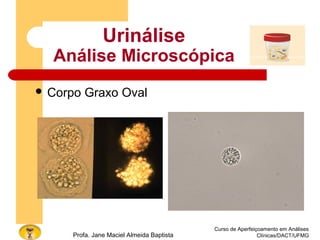 Curso de Aperfeiçoamento em Análises
Clínicas/DACT/UFMGProfa. Jane Maciel Almeida Baptista
Urinálise
Análise Microscópica
 Corpo Graxo Oval
 