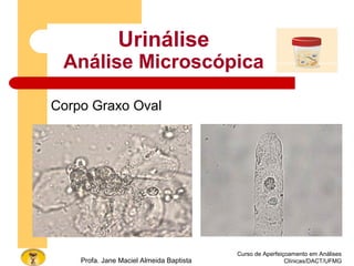 Curso de Aperfeiçoamento em Análises
Clínicas/DACT/UFMGProfa. Jane Maciel Almeida Baptista
Urinálise
Análise Microscópica
Corpo Graxo Oval
 