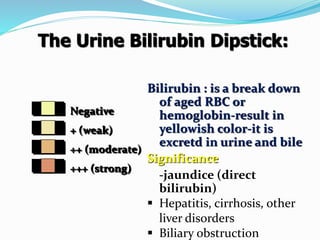 urinalisis.pptx