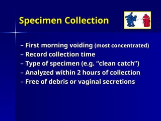 Urinalyisis BMS.ppt to know about the urinary examination and ...