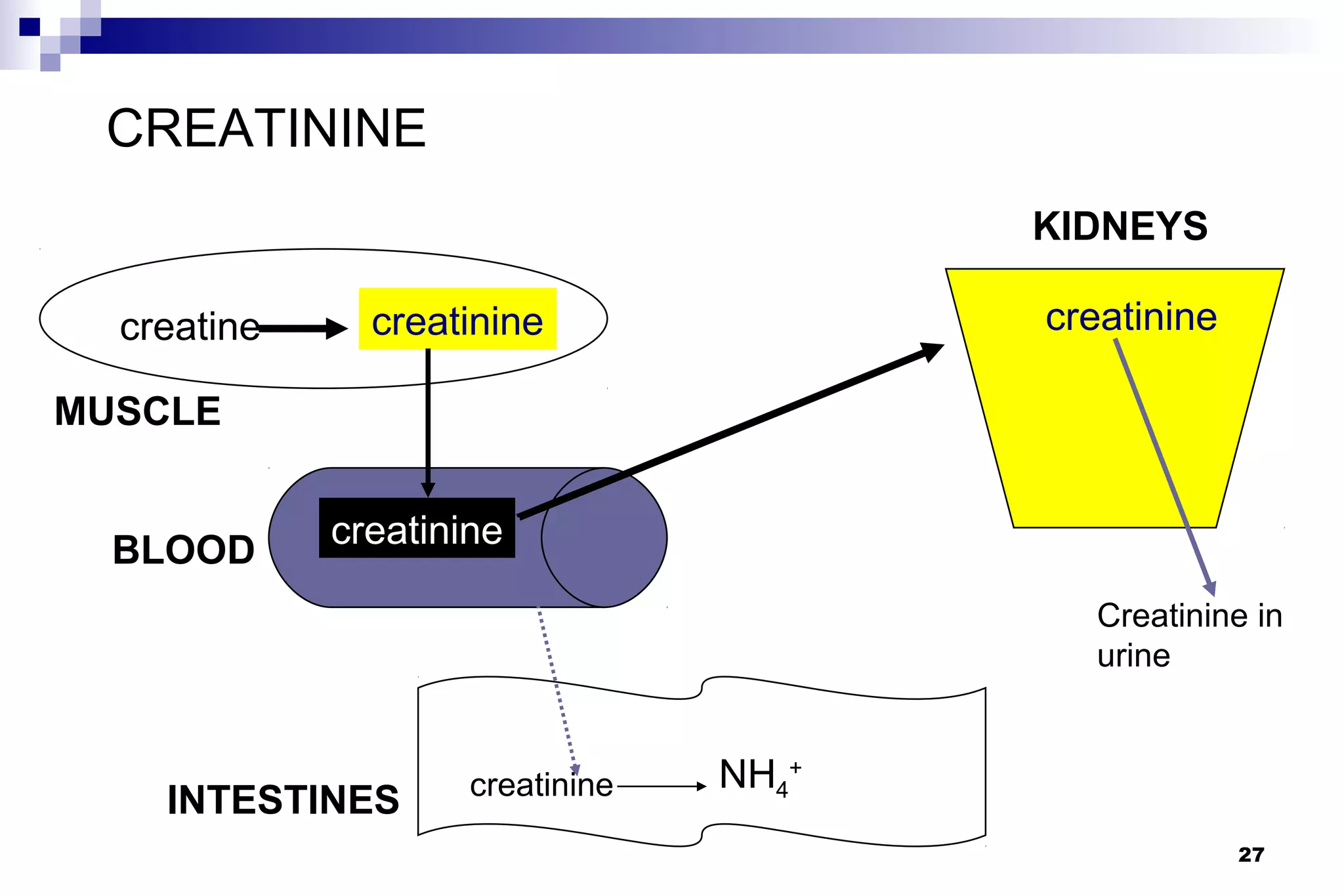 Urinalysis | PPT
