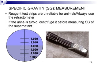 SPECIFIC GRAVITY (SG): MEASUREMENT
–   Reagent test strips are unreliable for animals/Always use
    the refractometer
–   If the urine is turbid, centrifuge it before measuring SG of
    the supernatant


                   1.050
                   1.040
                   1.030
                   1.020
                   1.010
                   1.000
                                                             10
 