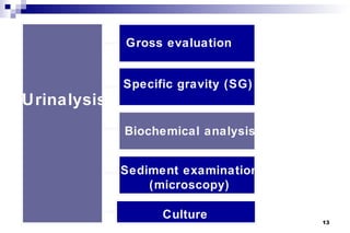 Gross evaluation


             Specific gravity (SG)
Urinalysis
             Biochemical analysis


             Sediment examination
                 (microscopy)

                   Culture           13
 