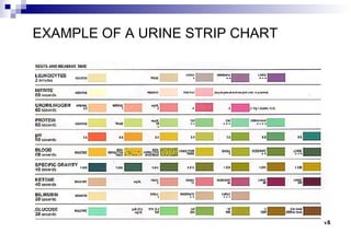 EXAMPLE OF A URINE STRIP CHART




                                 15
 