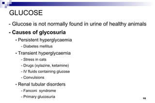 GLUCOSE
- Glucose is not normally found in urine of healthy animals
- Causes of glycosuria
  • Persistent hyperglycaemia
     - Diabetes mellitus
  • Transient hyperglycaemia
     - Stress in cats
     - Drugs (xylazine, ketamine)
     - IV fluids containing glucose
     - Convulsions
  • Renal tubular disorders
     - Fanconi syndrome
     - Primary glucosuria                                16
 