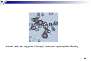 Ammonium biurate: suggestive of liver dysfunction and/or portosystemic shunting




                                                                                  38
 