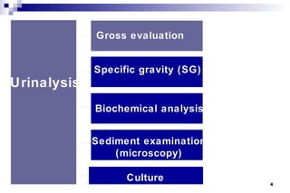 Gross evaluation


             Specific gravity (SG)
Urinalysis
             Biochemical analysis


             Sediment examination
                 (microscopy)

                   Culture           4
 