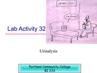 Lab Activity 32
Urinalysis
Portland Community College
BI 233
 