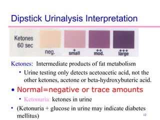 12
Dipstick Urinalysis Interpretation
Ketones: Intermediate products of fat metabolism
• Urine testing only detects acetoacetic acid, not the
other ketones, acetone or beta-hydroxybuteric acid.
• Normal=negative or trace amounts
• Ketonuria: ketones in urine
• (Ketonuria + glucose in urine may indicate diabetes
mellitus)
 