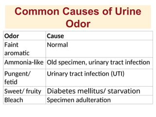 Urinalysis.ppt The physical, chemical, and microscopic parts of urine ...