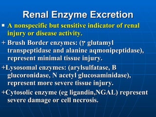 Renal Enzyme Excretion A nonspecific but sensitive indicator of renal injury or disease activity. + Brush Border enzymes: ( ץ   glutamyl transpeptidase and alanine aqmonipeptidase), represent minimal tissue injury. +Lysosomal enzymes: (arylsulfatase, B glucoronidase, N acetyl glucosaminidase), represent more severe tissue injury. +Cytosolic enzyme (eg ligandin,NGAL) represent severe damage or cell necrosis.  