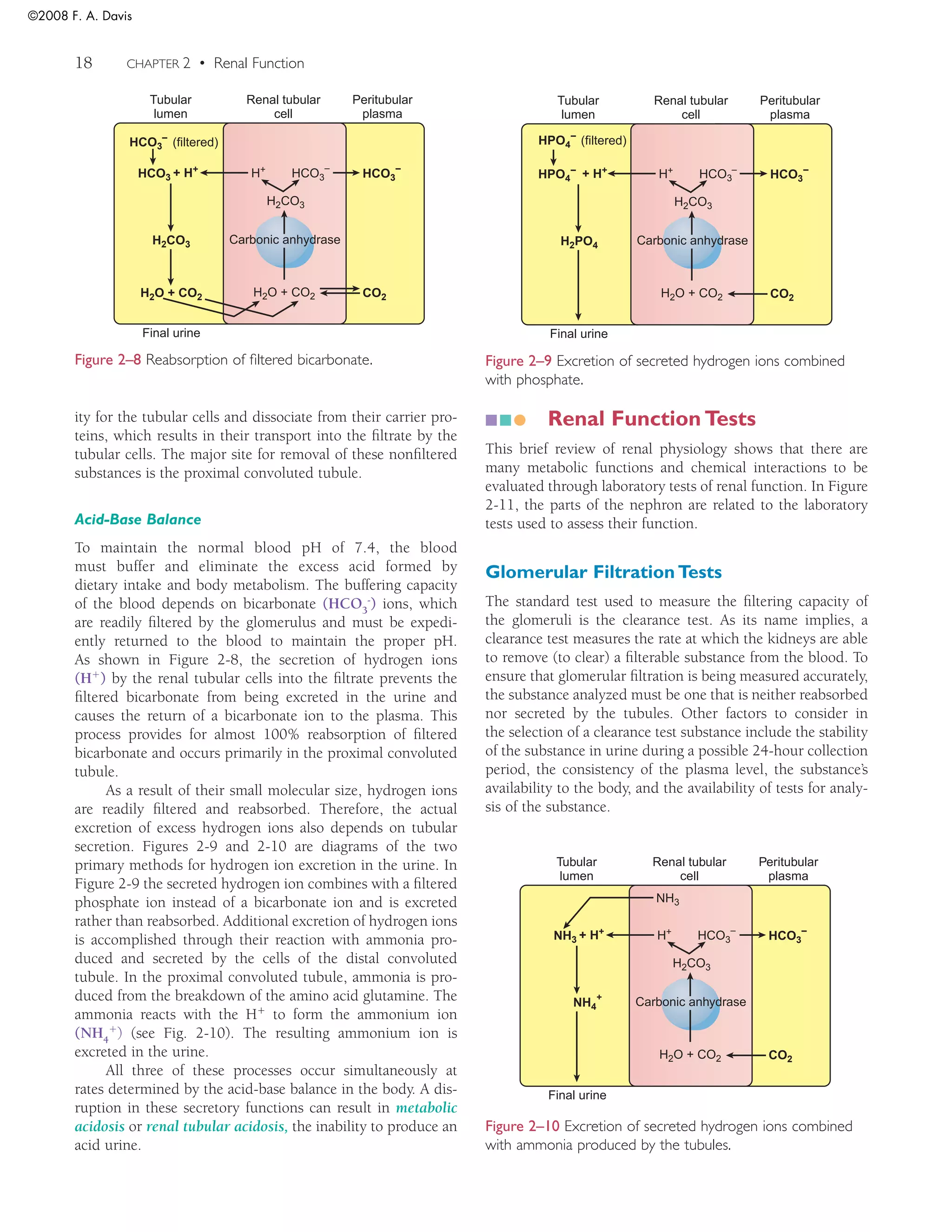 Urinalysis and Body Fluids ( PDFDrive ).pdf