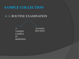 SAMPLE COLLECTION
 1. ROUTINE EXAMINATION
1st
VOIDED
SAMPLE
IN
MORNING
RANDOM
SPECIMEN
 