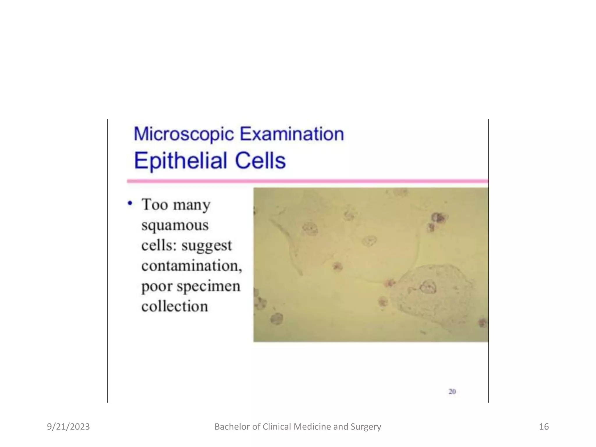 9/21/2023 Bachelor of Clinical Medicine and Surgery 16
 
