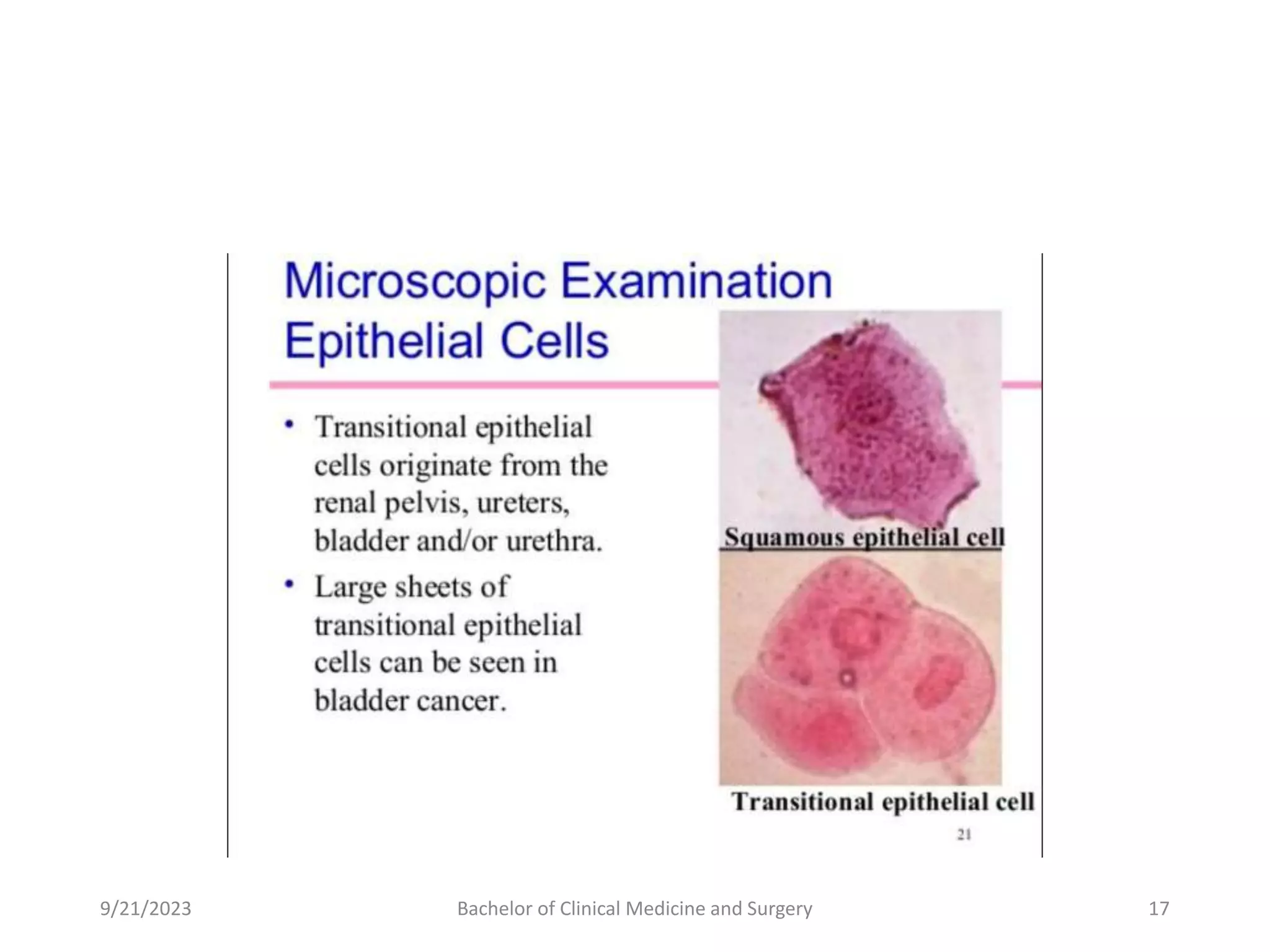 9/21/2023 Bachelor of Clinical Medicine and Surgery 17
 