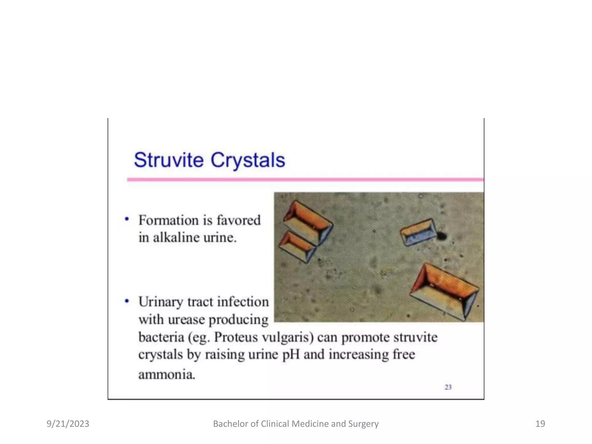 9/21/2023 Bachelor of Clinical Medicine and Surgery 19
 