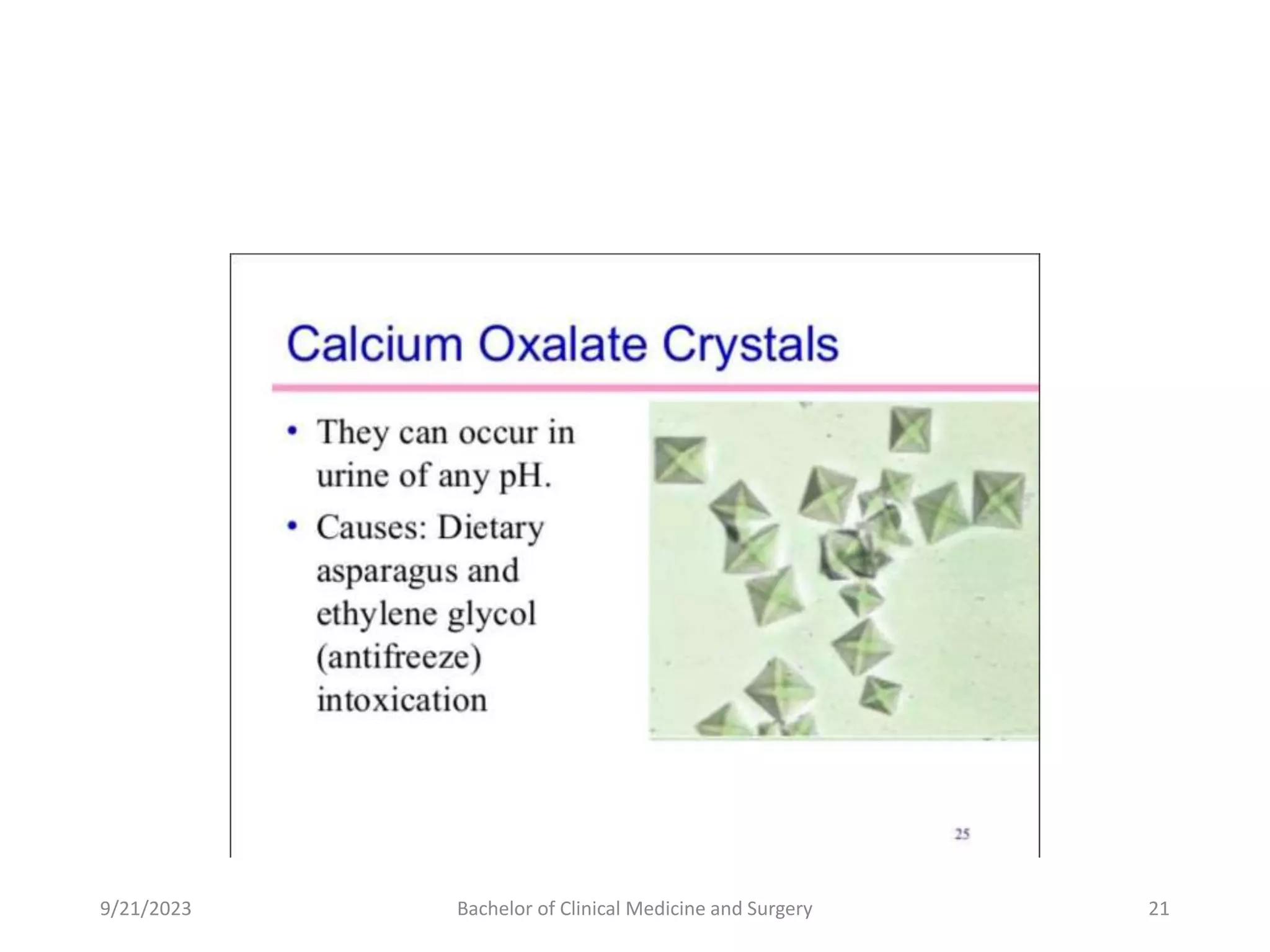 9/21/2023 Bachelor of Clinical Medicine and Surgery 21
 