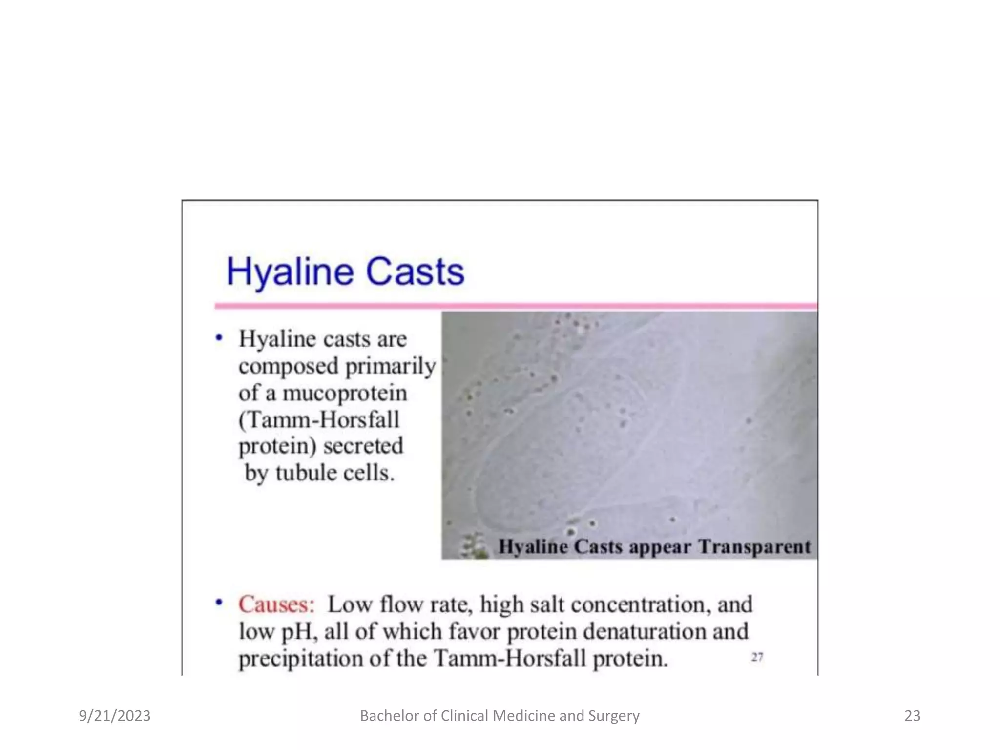 9/21/2023 Bachelor of Clinical Medicine and Surgery 23
 