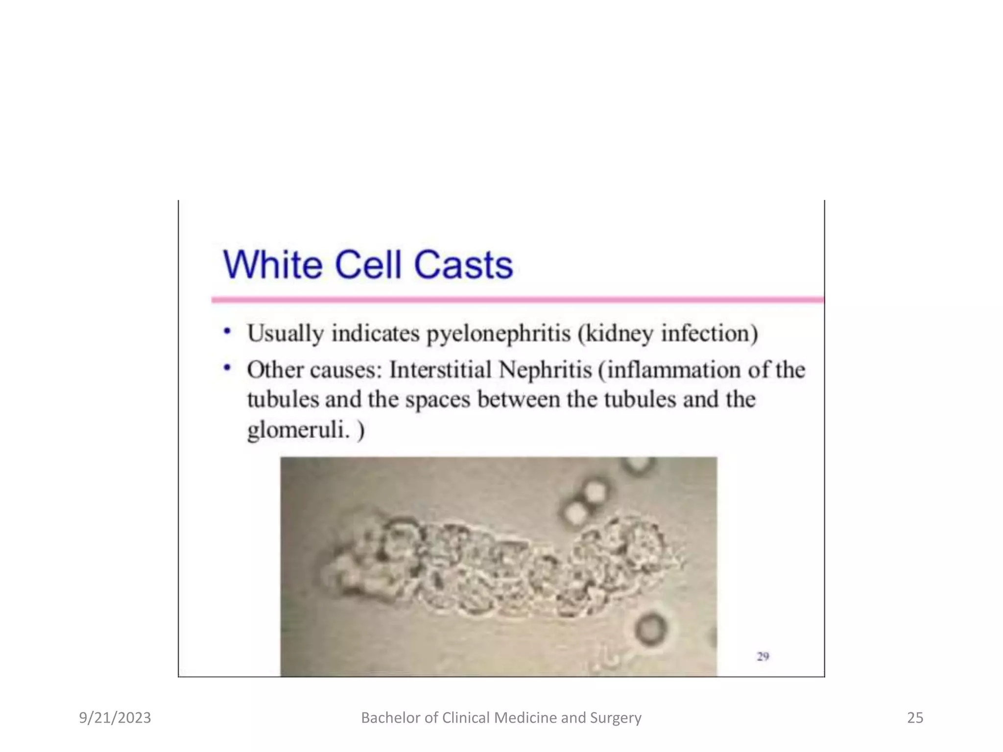 9/21/2023 Bachelor of Clinical Medicine and Surgery 25
 