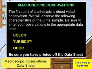 Click Here to
Continue
Urine Sample
MACROSCOPIC OBSERVATIONS
The first part of a urinalysis is direct visual
observation. ...
