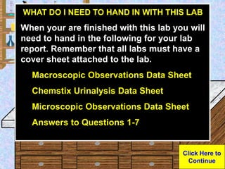 Click Here to
Continue
Urine Sample
URINALYSIS LAB
Click on the blackboard to view a
larger blackboard for discussion
WHAT...