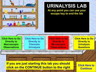 Click Here to
Continue
Urine Sample
URINALYSIS LAB
At any point you can use your
escape key to end the lab
Click Here to G...
