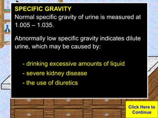 Urine Sample
SPECIFIC GRAVITY
Normal specific gravity of urine is measured at
1.005 – 1.035.
Abnormally low specific gravi...
