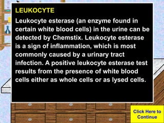 Urine Sample
LEUKOCYTE
Leukocyte esterase (an enzyme found in
certain white blood cells) in the urine can be
detected by C...