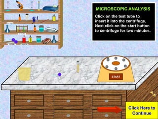 Urine Sample
Click Here to
Continue
START
MICROSCOPIC ANALYSIS
Click on the test tube to
insert it into the centrifuge.
Ne...