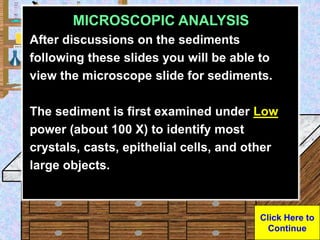 Urine Sample
MICROSCOPIC ANALYSIS
After discussions on the sediments
following these slides you will be able to
view the m...