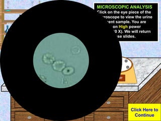 Urine Sample
Click Here to
Continue
START
MICROSCOPIC ANALYSIS
Click on the eye piece of the
microscope to view the urine
...