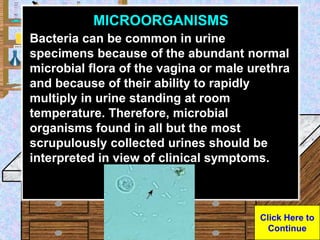 Urine Sample
MICROORGANISMS
Bacteria can be common in urine
specimens because of the abundant normal
microbial flora of th...