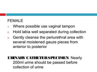 FEMALE
1. Where possible use vaginal tampon
2. Hold labia well separated during collection
3. Gently cleanse the periurethral area with
several moistened gauze pieces from
anterior to posterior
URINARY CATHETERSPECIMEN: Nearly
200ml urine should be passed before
collection of urine
 