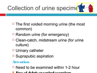 Collection of urine specimens
 The first voided morning urine (the most
common)
 Random urine (for emergency)
 Clean-catch, midstream urine (for urine
culture)
 Urinary catheter
 Suprapubic aspiration
Attention
 Need to be examined within 1-2 hour
 